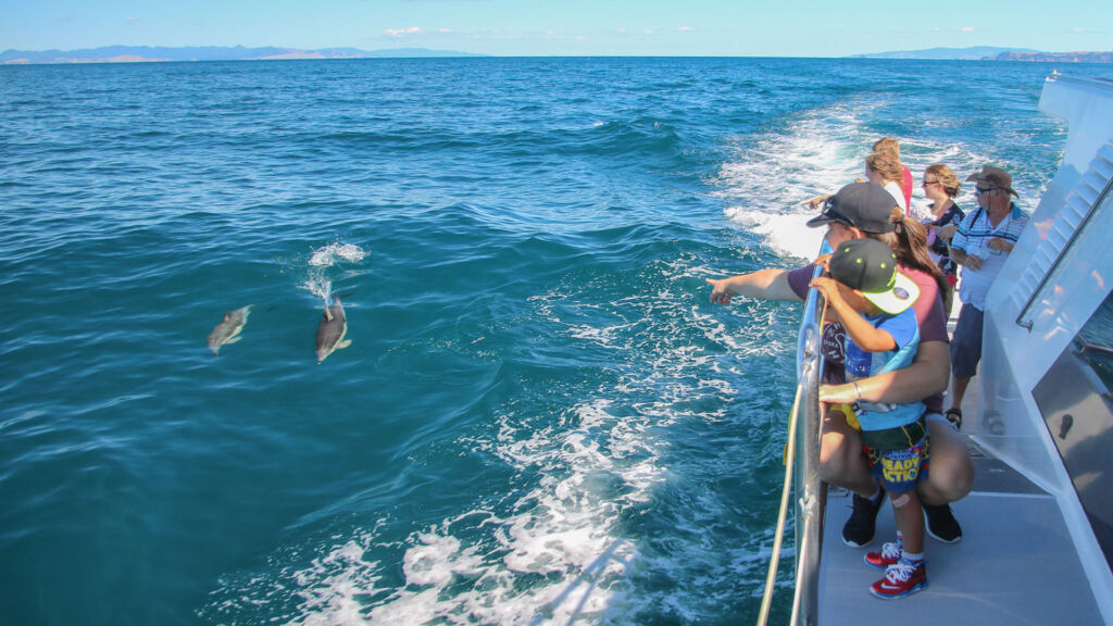 Whale Watching Tour