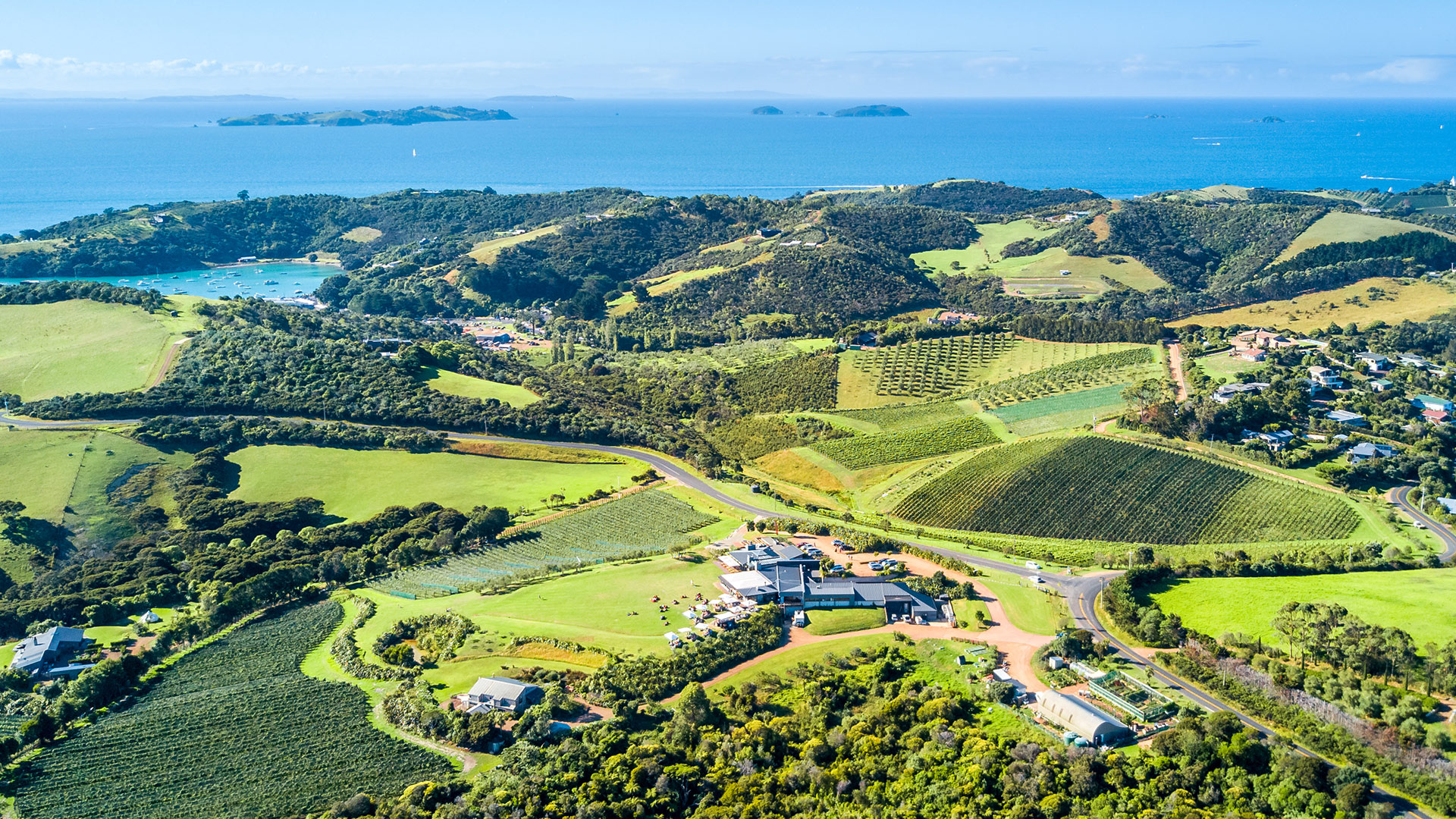 Waiheke Explorer Combo Explorer Bus