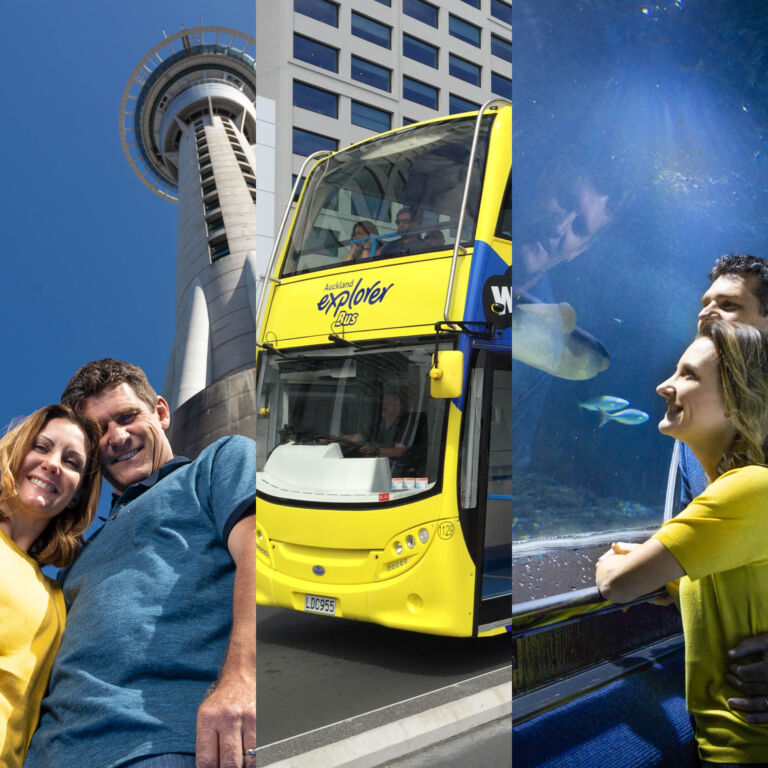 Explorer Bus Sky Tower Kelly Tarlton's Combo