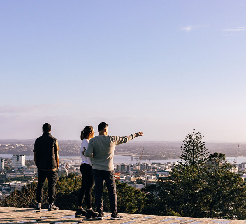 Mt Eden / Maungawhau