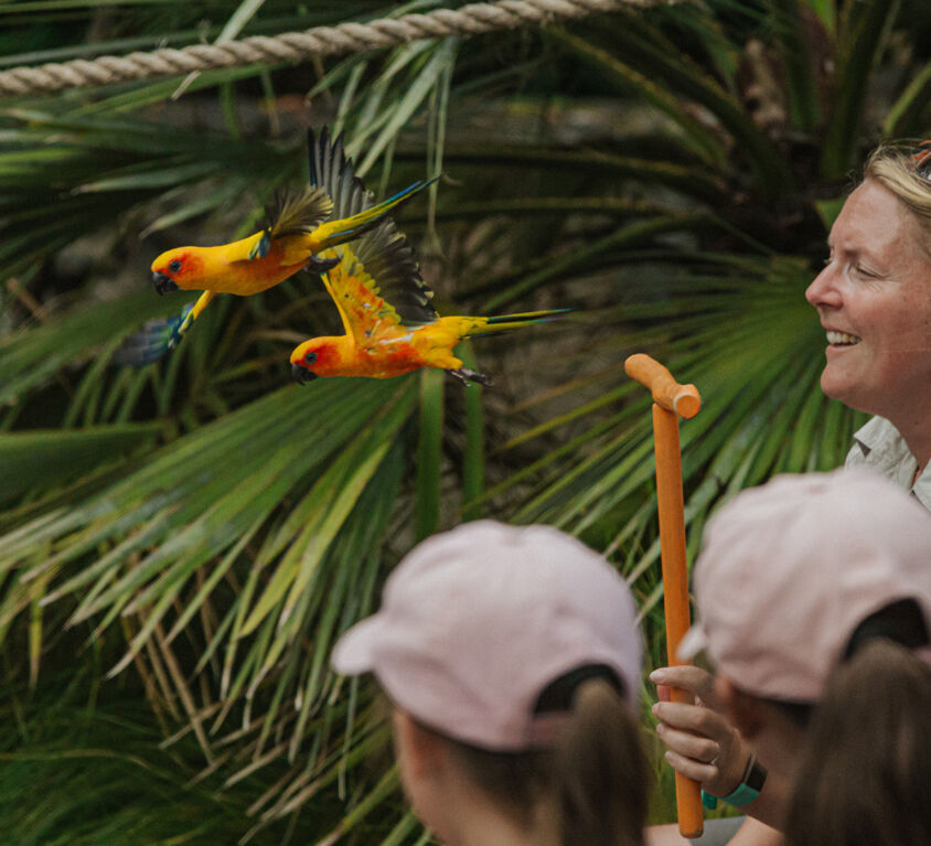 Auckland Zoo